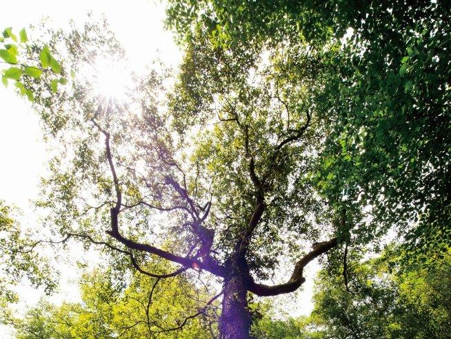 治理“火车站骗局”还需多管齐下“beat365”(图2) 治理“火车站骗局”还需多管齐下“beat365”(图2)