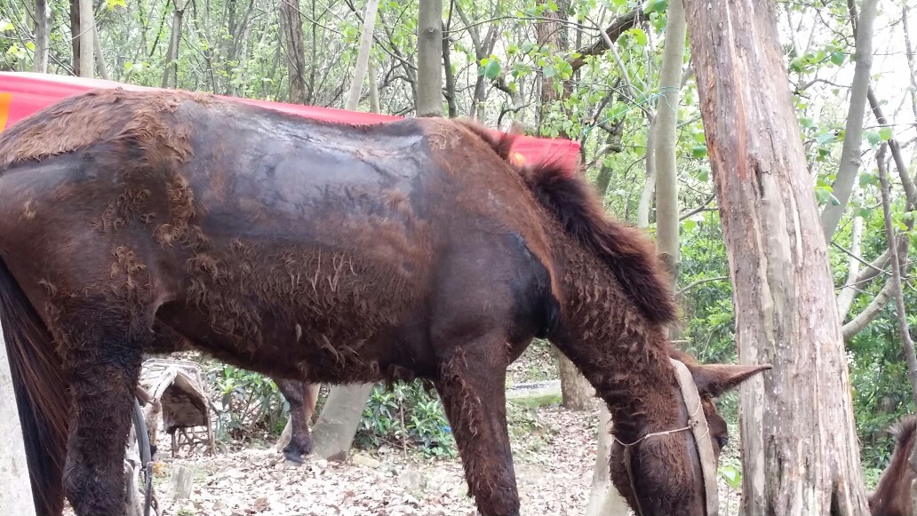 主考官“踢假球”击中公考监管软肋-BEAT365(图3) 主考官“踢假球”击中公考监管软肋-BEAT365(图3)