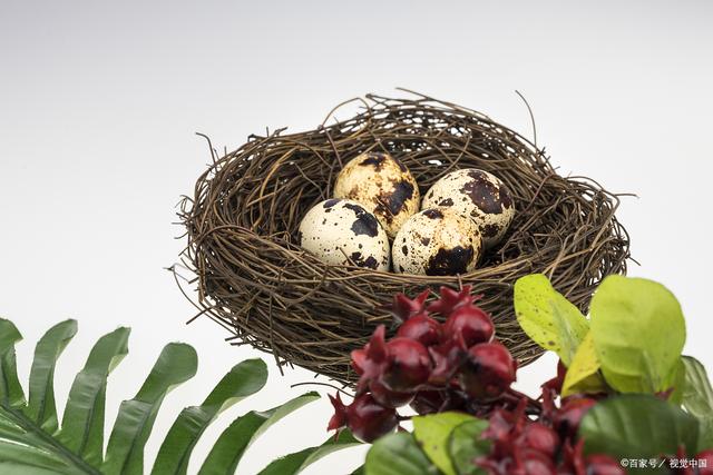 “BEAT365”“碰瓷”升级，法律需跟上(图1)