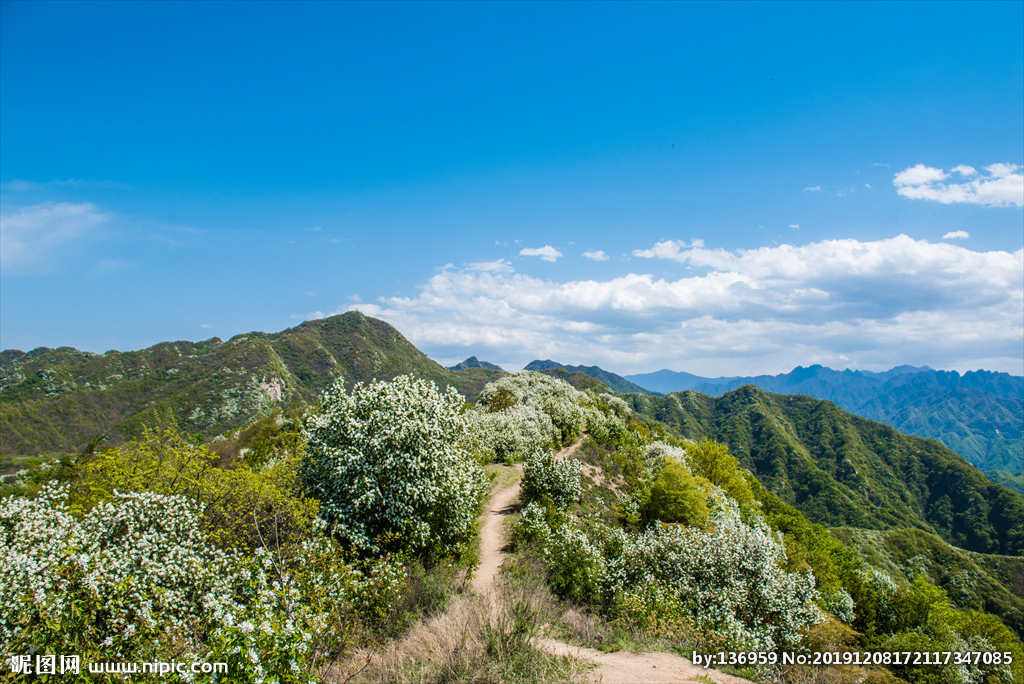 
海神波塞冬纹身图案 海神纹身的寓意-beat365官网中文(图7)